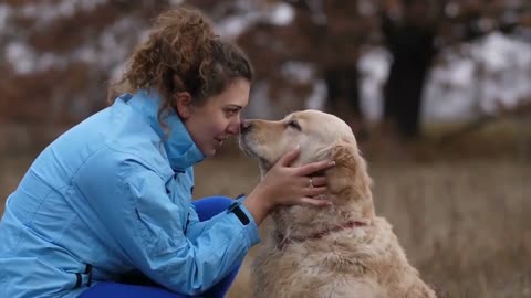 How can you know what your dog's mood is? Top 10 Signs Your Dog Is Happy With You!