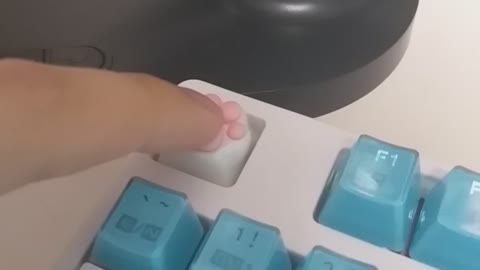 Meowing Keyboard Keycaps