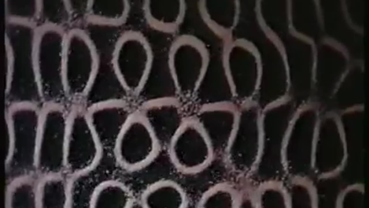 Töne haben die Kraft, unsere Welt zu beeinflussen.