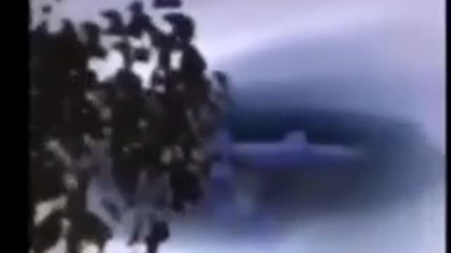 a normal day in 2022