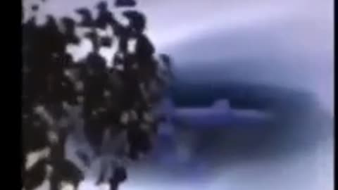 a normal day in 2022