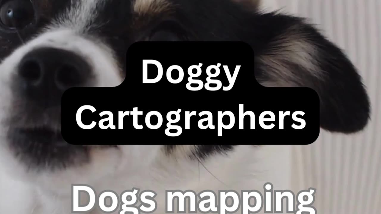 Doggie Cartogrophers
