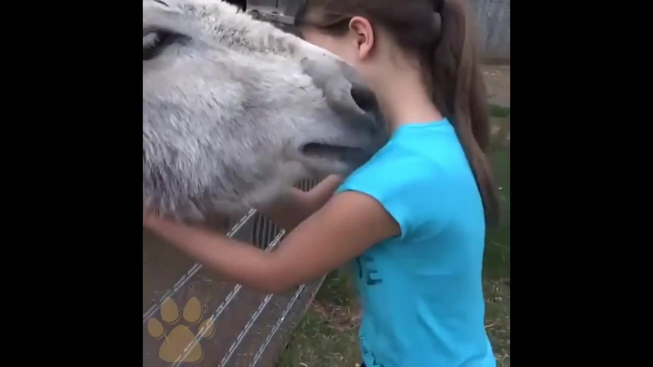 girl play with animal