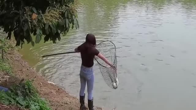 Best fishing videos