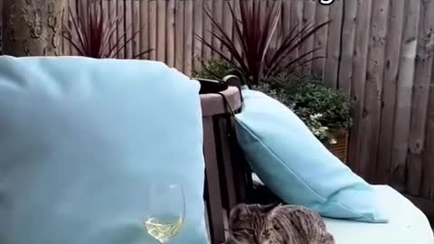 she’s living her best life