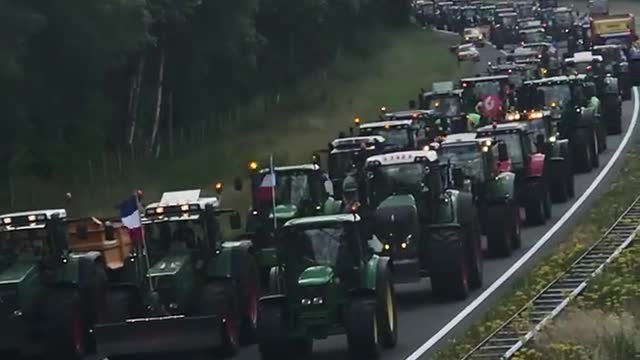 Dutch farmers convoy protests closure of farms to reduce nitrogen use