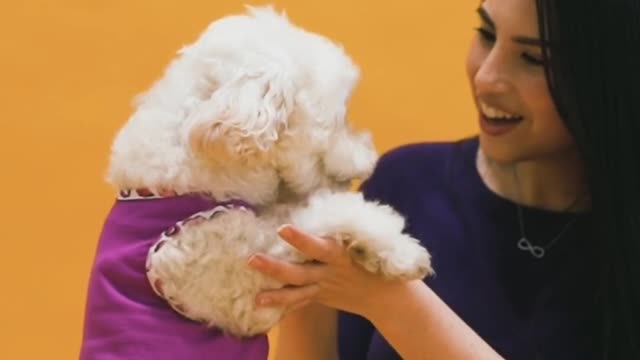 Dogs Funny Video amazing 9 Woman Holding a Dog Person Playing with a Dog