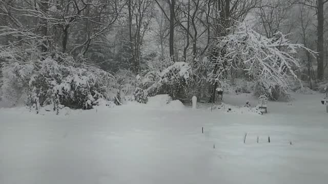 Snow In Slo Mo