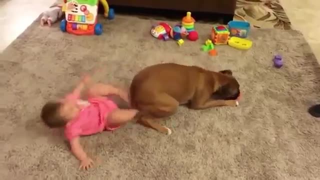 Funny Baby and Dog Fails