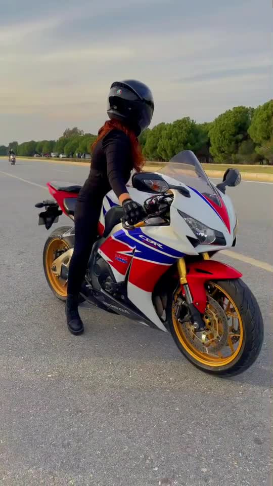 funny|prank|jokes|funny jokes|dad jokes|funny memes|funny video|fun|laughing|funny animal|knock