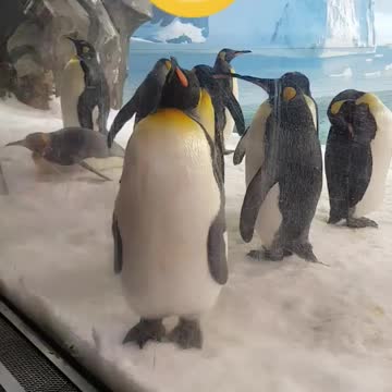 When you gotta go, you gotta go!