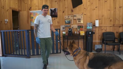 (ANXIOUS DOG NO MORE!) ANXIOUS GERMAN SHEPHERD'S FIRST TRAINING SESSION!