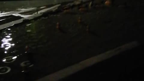 Night walking