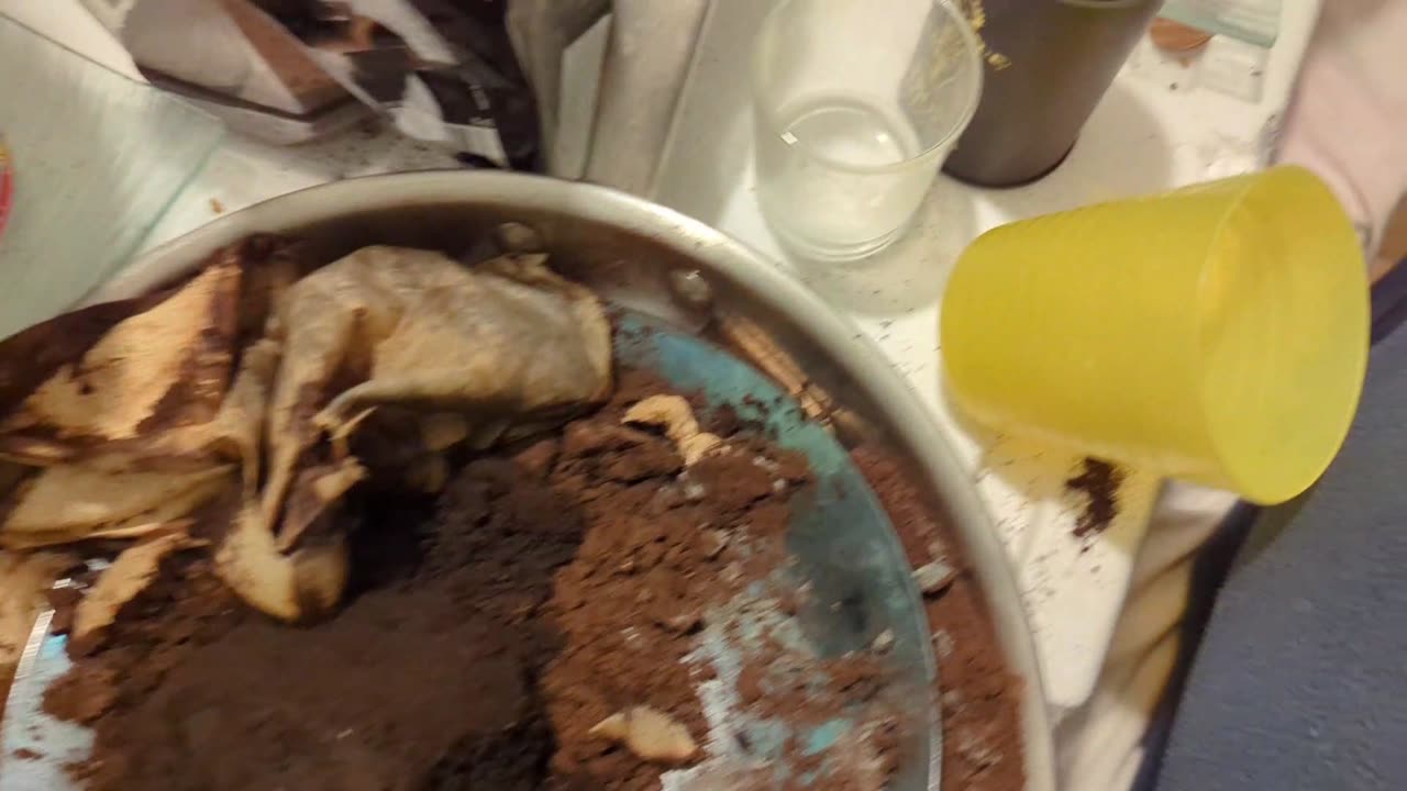 2023-09-26 (1) - (live sans titre) - Kick Triskel