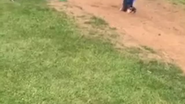 Long Jump Goes Face First