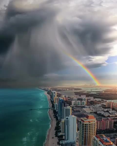 Miami rainbow beauty