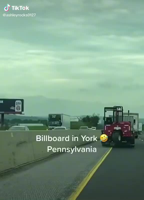 Buyden Make the Taliban great again