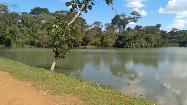 The Little Lake