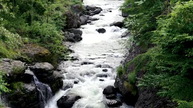 The water flows in forest dane on stone