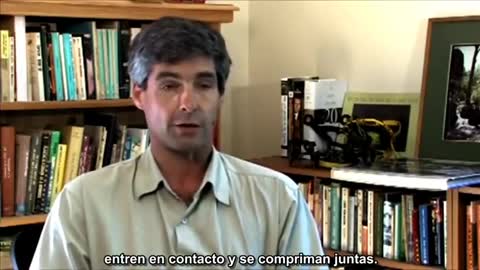 11S ANATOMIA DE UN GRAN ENGAÑO