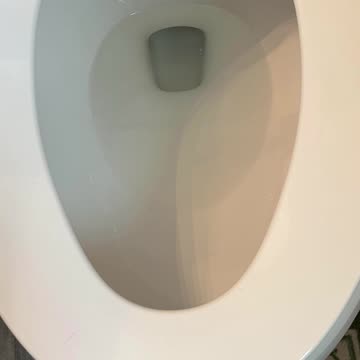 Down the toilet