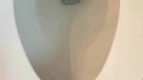 Down the toilet