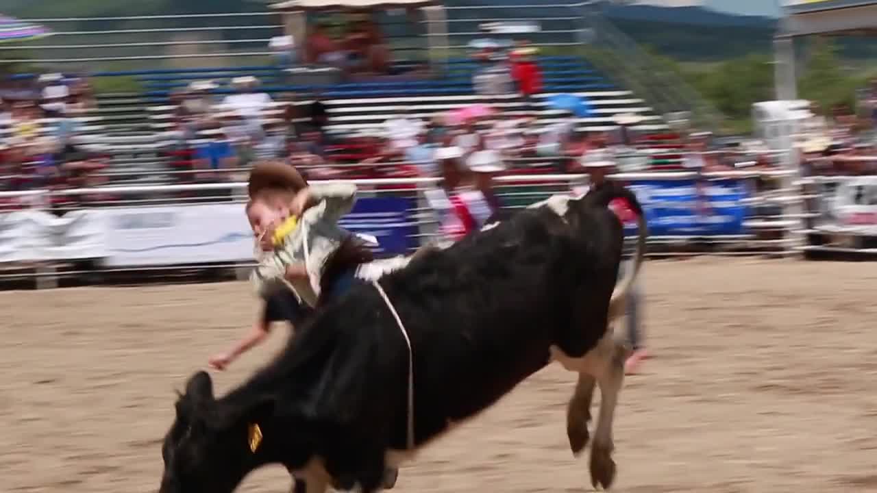 a boy calf riding at childrens rodeo