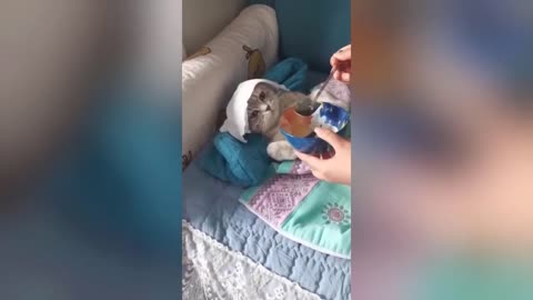 😄😄