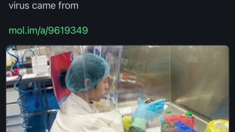 Sabotage on Donald Trump chronology