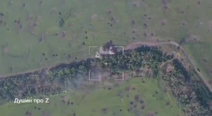 deNAZIfication - eliminating of NAZI PARASITES & EQUIPMENTS