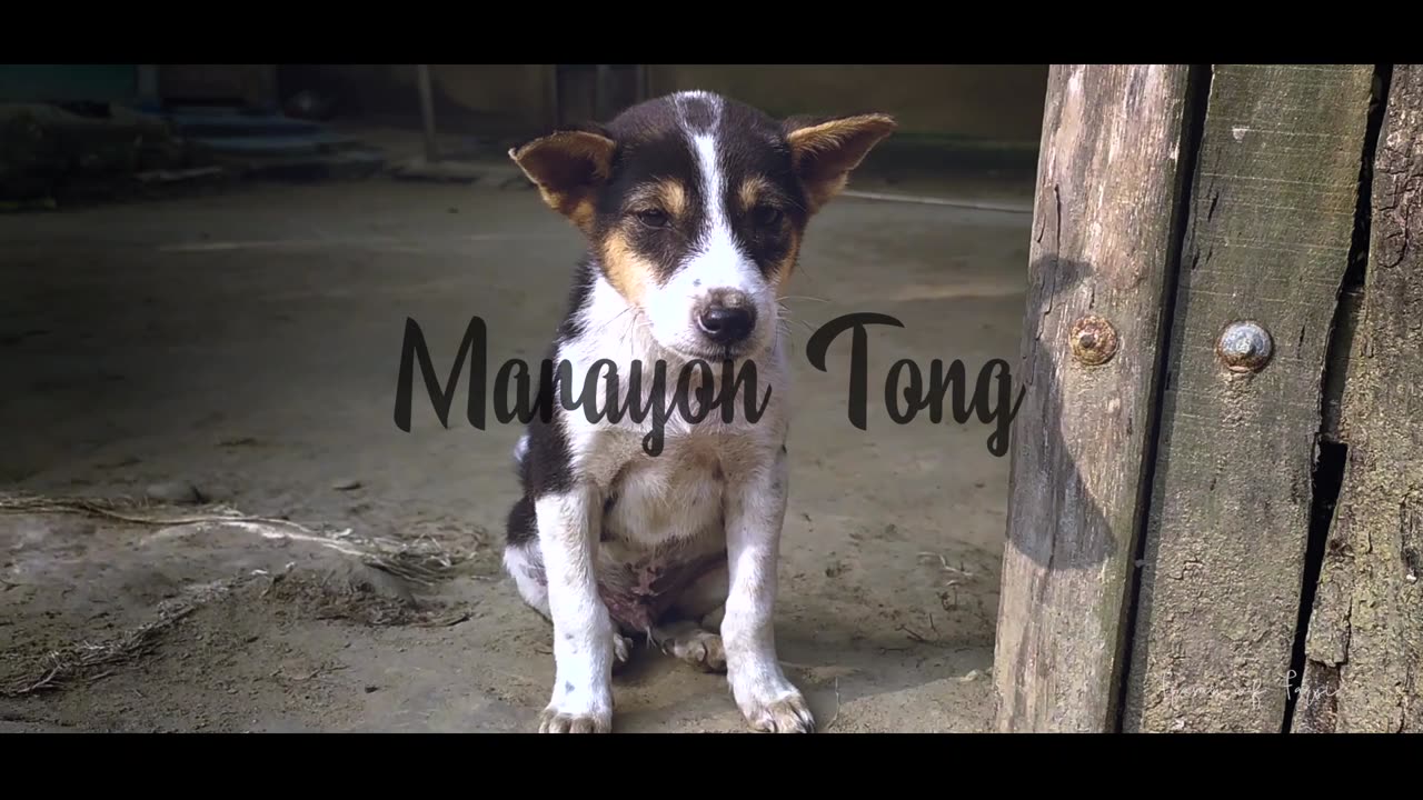 Marayon Thong | Bandarban