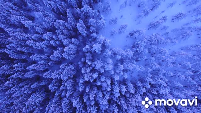 View of the incredible Winter with a melody