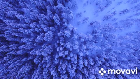 View of the incredible Winter with a melody