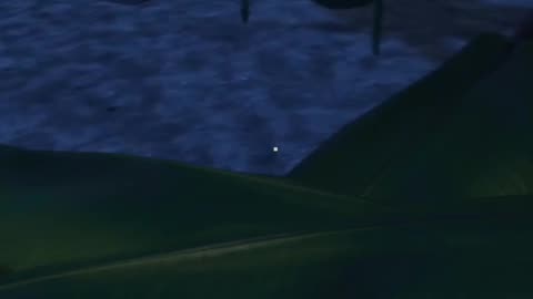 Hello Mr. Turtle... Project Castaway