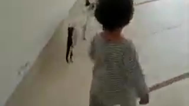 Baby Boy playing Happily with Kitten / CAT....very funny