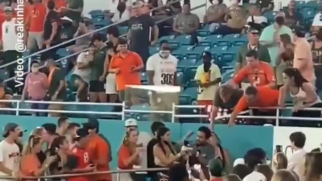 Cat falling was saved with American flag in Miami-USA football game