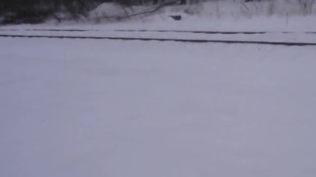 Snow on The tracks for Several Days