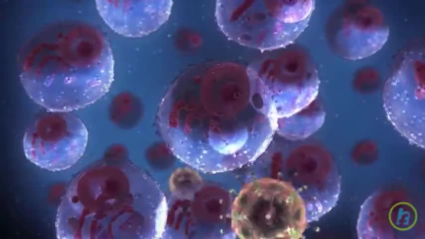 Vaccinated Will Have AIDS By March 2022