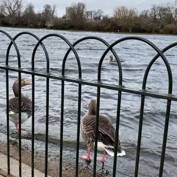 Who doesn’t love nature man