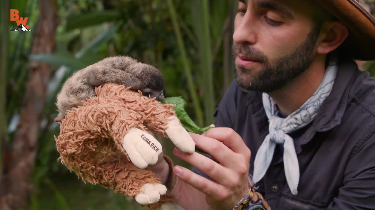 Face to Face... With the CUTEST sloth...EVER!