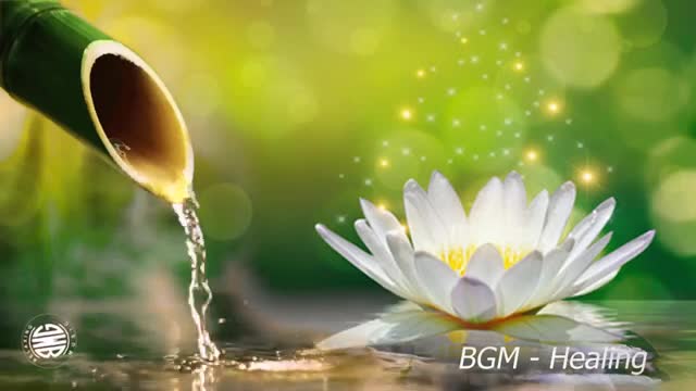 Beautiful Relaxing Music, Calm Piano Music & Guitar Music with Birds Singing
