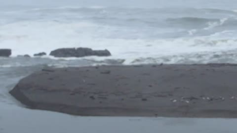 Russian River -12-15. Mouth of the river breaching