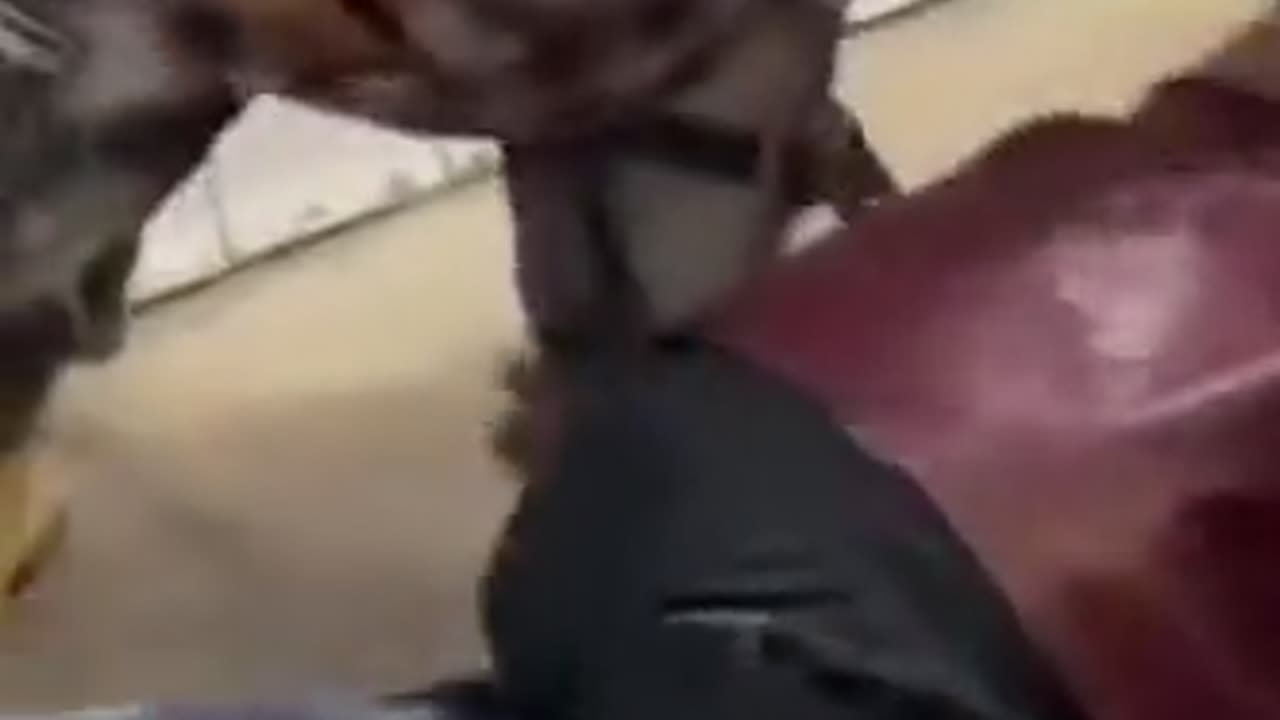 Jordan Neely except when black people do it