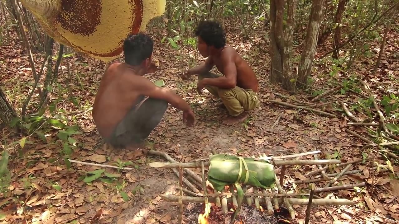 Primitive Technology: Harvest Beehive and Honey by Brave Bushmen