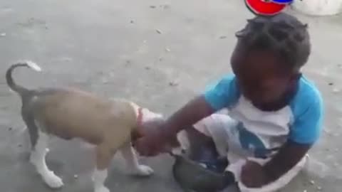 funny baby and dog moments