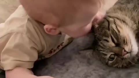 Cute Boy Bites The Cats Ear