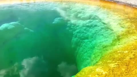 Morning Glory Lake is a geothermal spring in Yellowstone Park
