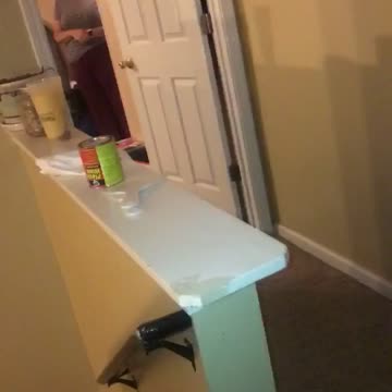 Funny Great Dane Runs Laps around House