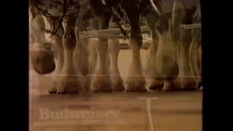 Budweiser | Expert Craftsmanship | 1986