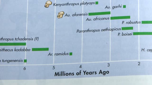 Human Evolution – Episode 01 of Debunking Evolution Series